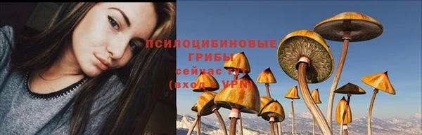 Альфа ПВП Алзамай