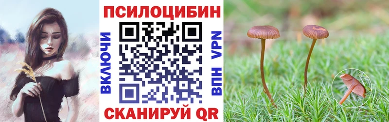Галлюциногенные грибы мухоморы  Бабушкин 